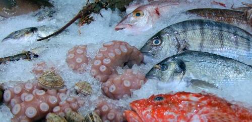 Pescado tem recuo moderado em meio à alta histórica da inflação