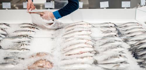 O que impacta os produtos de pescado de nicho no mercado nacional