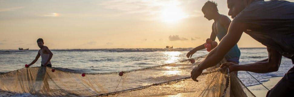 >Implementação do Selo da Pesca Artesanal do Brasil ganha novos avanços Implementação do Selo da Pesca Artesanal do Brasil ganha novos avanços