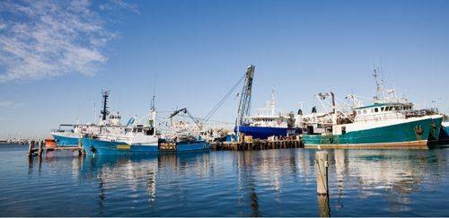 MPA amplia transparência com novas bases de dados sobre certificações