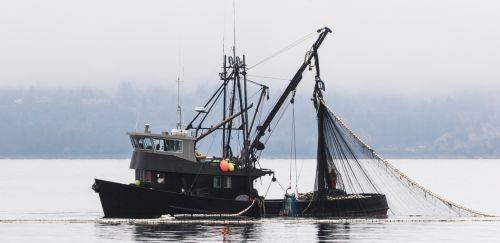 Os altos e baixos na realidade da pesca industrial brasileira