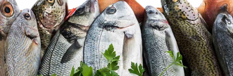 Inflação do País acelera em fevereiro, mas pescado registra queda
