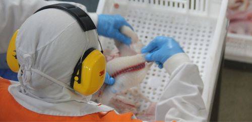 Novas regras para bexiga natatória elevam padrões e ações conjuntas Novas regras para bexiga natatória elevam padrões e ações conjuntas