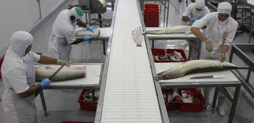 Mapa avança em IA: impacto regulatório e mudanças no setor alimentício Mapa avança em IA: impacto regulatório e mudanças no setor alimentício