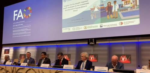 MPA participa de diálogo global sobre sanidade e biossegurança da FAO