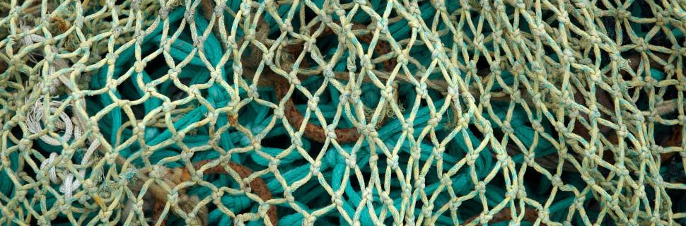 MPA anuncia encerramento da pesca de tainha de emalhe anilhado