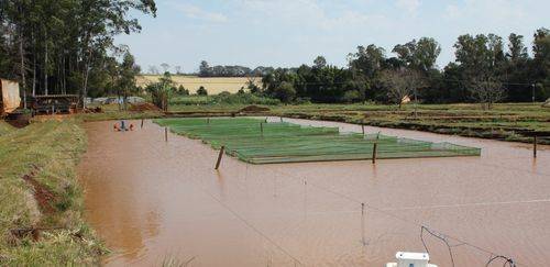 CCJC aprova projeto que moderniza marco legal da aquicultura