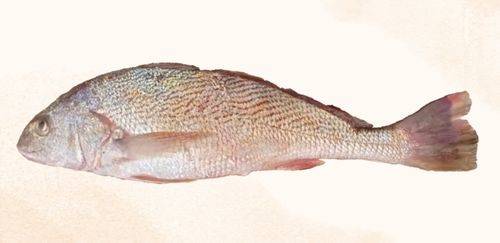 A lista é nova, já os problemas...