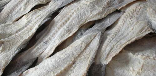Relatório apresenta tendências sobre o consumo de frutos do mar 