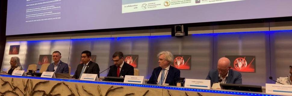 MPA participa de diálogo global sobre sanidade e biossegurança da FAO