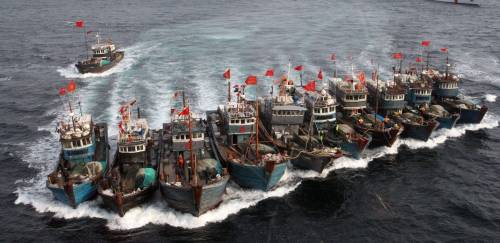 Portos estrangeiros no Brasil acendem alerta para setor pesqueiro