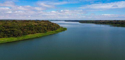 Senado do Paraguai libera cultivo de tilápia no Lago de Itaipu Senado do Paraguai libera cultivo de tilápia no Lago de Itaipu