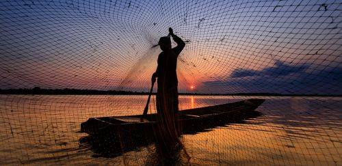 MPA e BRICS se reúnem e discutem novos rumos da pesca e aquicultura 