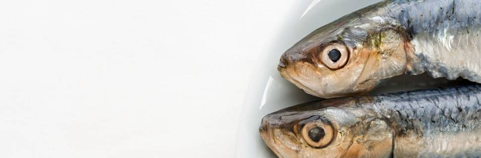 Importação de sardinha e outros alimentos terá imposto zerado