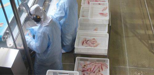 Rastreabilidade EUA, sinalização FDA e por que setor deve se antecipar