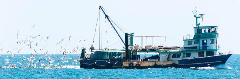 China abre mercado para pesca brasileira artesanal e industrial China abre mercado para pesca brasileira artesanal e industrial