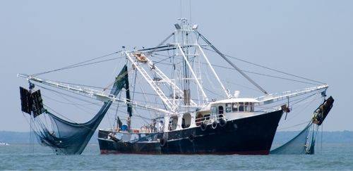 De sonares a softwares: a tecnologia a bordo das embarcações nacionais