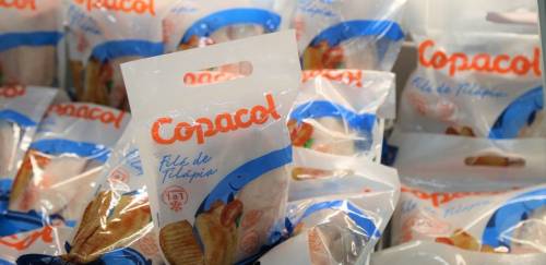 Copacol despacha terceira carga de filés resfriados de tilápia aos EUA