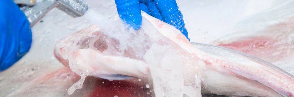 Fraudes em pescado caem para 3% em nova análise do Mapa