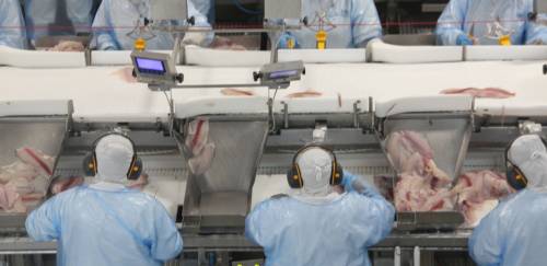 Abipesca pede prioridade ao pescado após encontro de Lula com Trump 