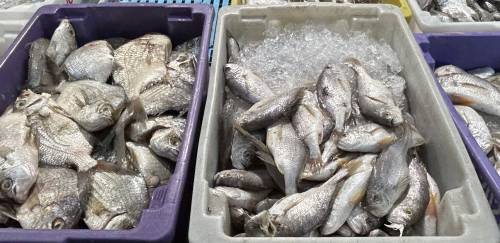 Ceagesp realiza 17ª Santa Feira do Peixe na Semana Santa