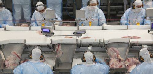 MAPA propõe flexibilização para inovação em aditivos e coadjuvantes MAPA propõe flexibilização para inovação em aditivos e coadjuvantes