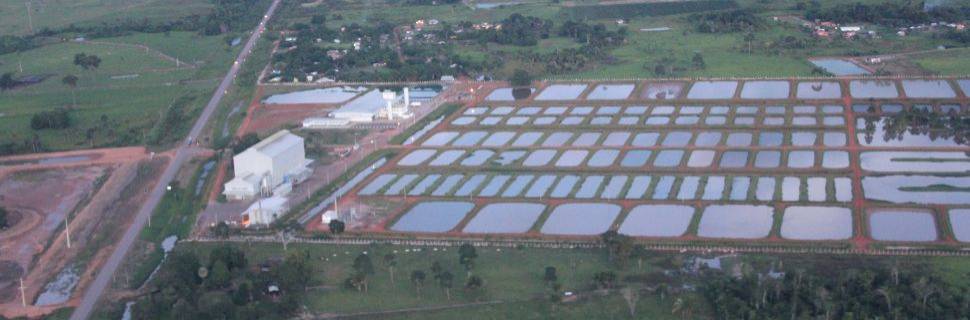 Peixes da Amazônia S.A. tem falência decretada pela justiça do Acre