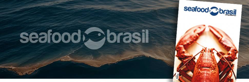 Anuário Seafood Brasil 2024: insights e dados estratégicos do pescado