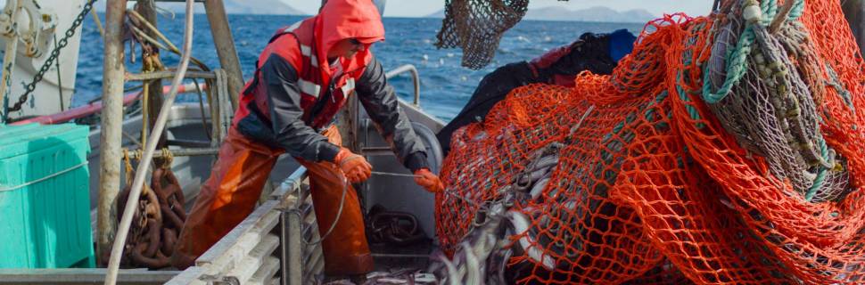 Peixes Selvagens do Alasca: compromisso, qualidade e sustentabilidade