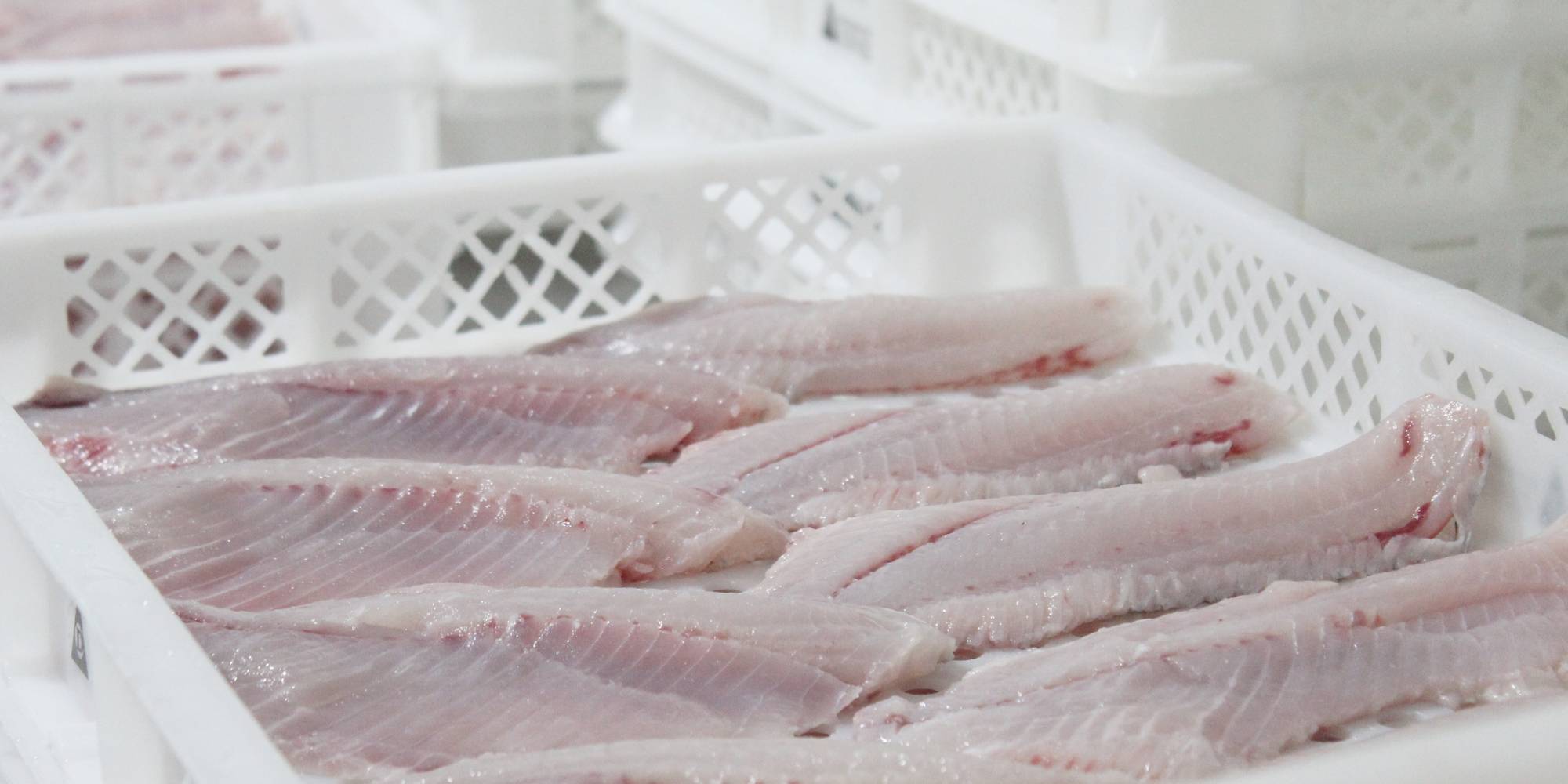 Remoção de tarifas atinge carne e outros itens, mas não o pescado