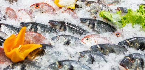 MPA e MAPA oficializam Nota Fiscal como documento de origem MPA e MAPA oficializam Nota Fiscal como documento de origem