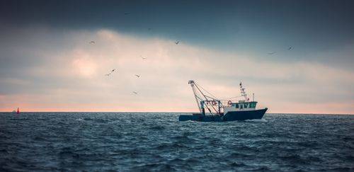 O que a Versão 7 do Consolidado UE/UK diz sobre embarcações  