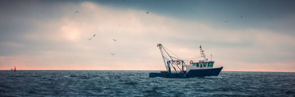 >O que a Versão 7 do Consolidado UE/UK diz sobre embarcações O que a Versão 7 do Consolidado UE/UK diz sobre embarcações