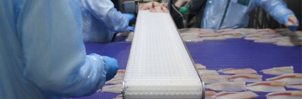 >Decisão nos EUA reabre mercado, mas expõe gargalos globais Decisão nos EUA reabre mercado, mas expõe gargalos globais