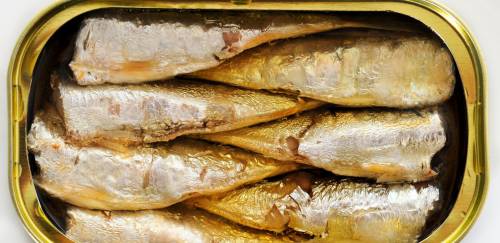 Marrocos proíbe exportação de sardinha e medida pede atenção do Brasil