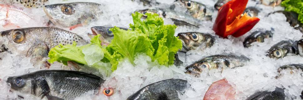 Preço do pescado permanece estável frente à alta das demais proteínas