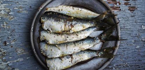 Sardinha-verdadeira e caranguejo-uçá em defeso: prazos e declaração Sardinha-verdadeira e caranguejo-uçá em defeso: prazos e declaração