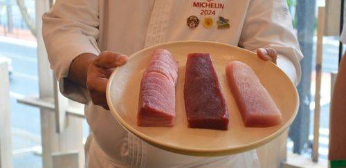 Atuns japoneses super frozen chegam ao Brasil com tecnologia inédita