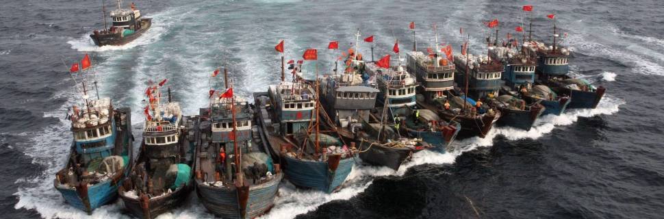 Portos estrangeiros no Brasil acendem alerta para setor pesqueiro