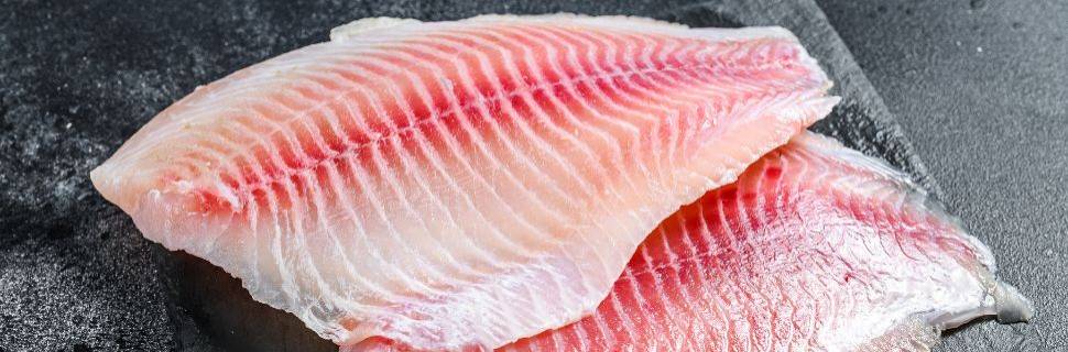 >CostaFoods Brasil entra no setor de pescado com nova aquisição CostaFoods Brasil entra no setor de pescado com nova aquisição