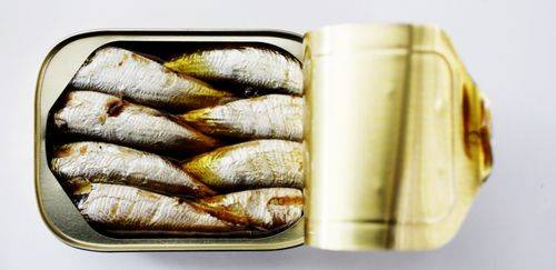 O impacto no Brasil sobre o bloqueio do Marrocos da sardinha congelada O impacto no Brasil sobre o bloqueio do Marrocos da sardinha congelada