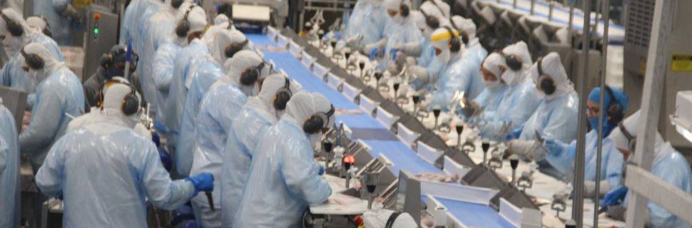 Reformas progredindo: DIPOA flexibiliza contêineres e fluxo temporário