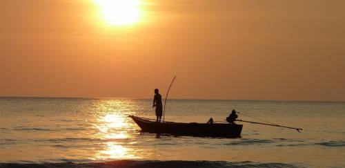 Pesca Sustentável e Rentável: setor precisa se adequar