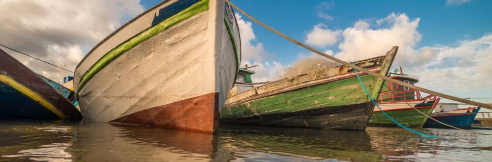 Dia do Pescador: Novas iniciativas do MPA para comunidades pesqueiras