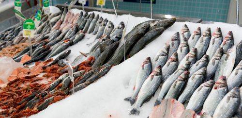 A importância da qualificação de fornecedores na qualidade do pescado 