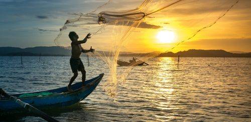 MPA lança boletim com diagnóstico atualizado da atividade pesqueira