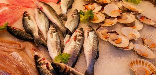 Pescado teve inflação de 3,28% em 2021, conforme IBGE