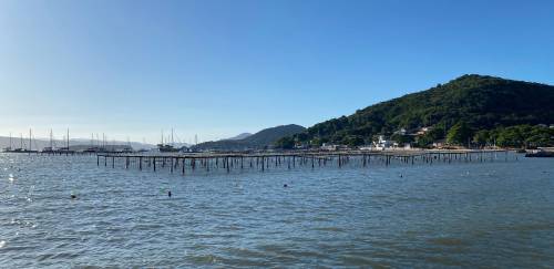 Agência italiana realiza webinar sobre pesca e maricultura no Brasil