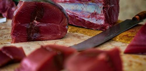 Empresa americana aposta em construção celular para produzir atum 