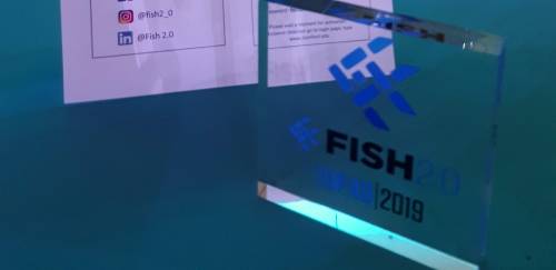 Empresa brasileira entre selecionadas para Fish 2.0 Global Innovators 
